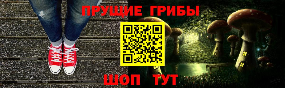 Псилоцибиновые грибы Psilocybine cubensis Гатчина