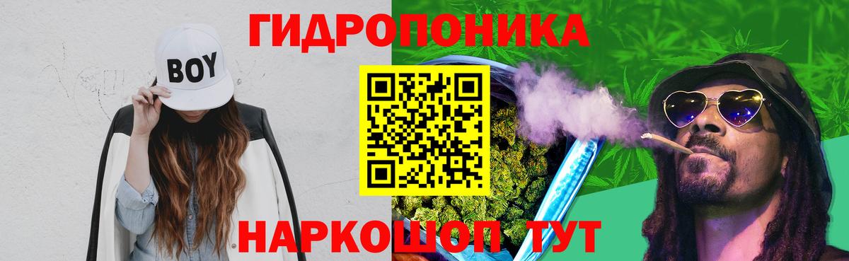 Каннабис White Widow  Вход с VPN  Гатчина  Каннабис марихуана  Марихуана планчик  Бошки Шишки White Widow 